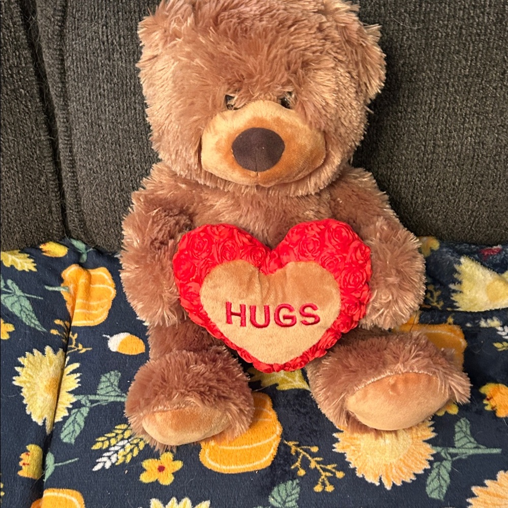 Dreamers Brown Teddy Bear with Red Heart